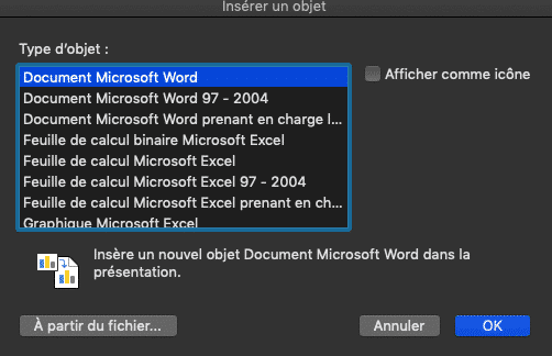 Capture d’écran de la partie « Insérer un objet », insistant sur le type « document Microsoft word ».